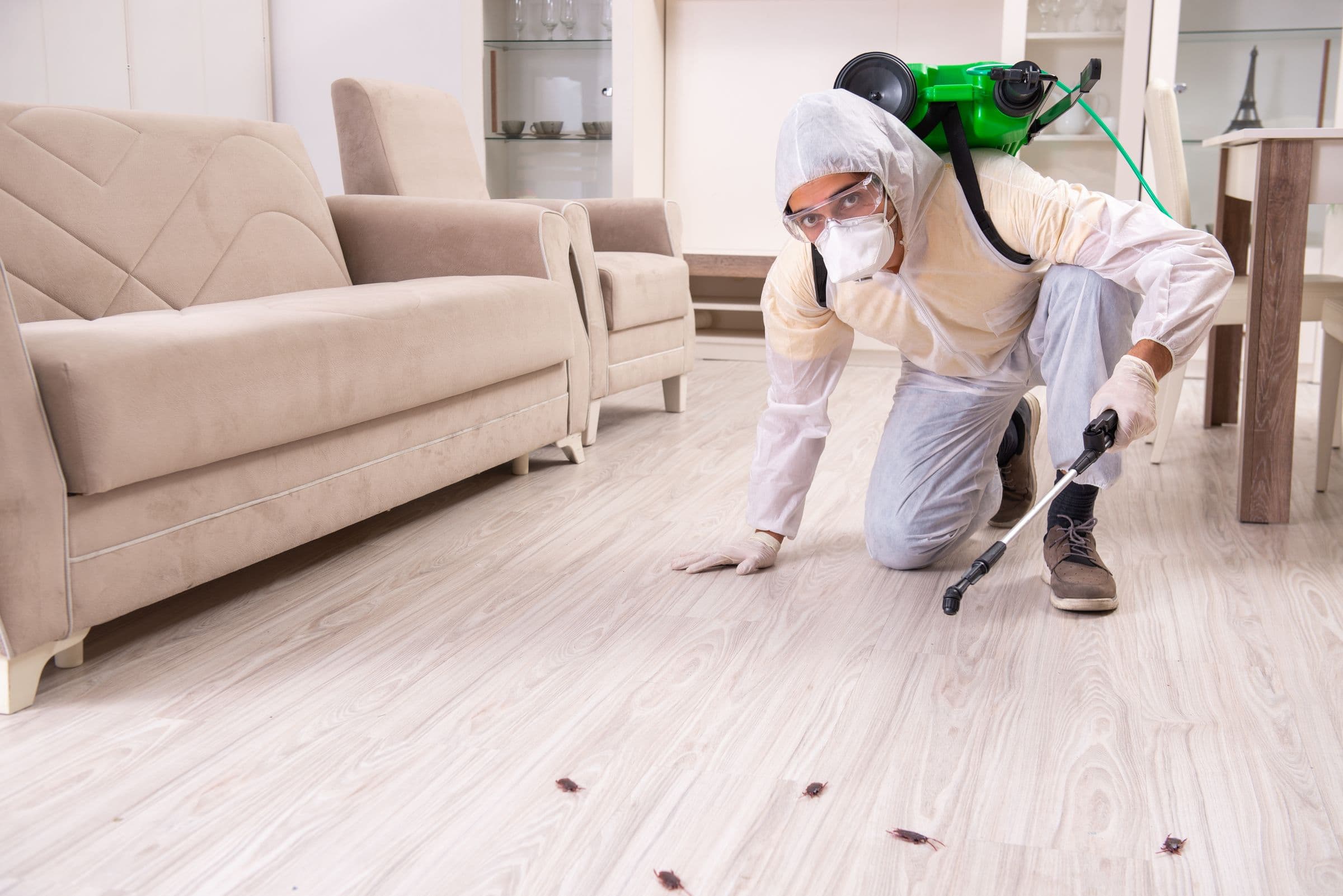 Pest control technician in a protective suit, mask and goggles spraying cockroaches on a living-room floor