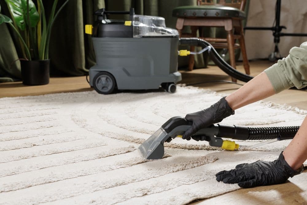 Worker in gloves deep cleaning a beige rug with an extraction machine